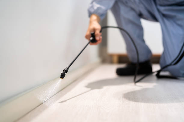 Licensed Mosquito Control service in Bailey's Crossroads, VA - Show Me Pest Control