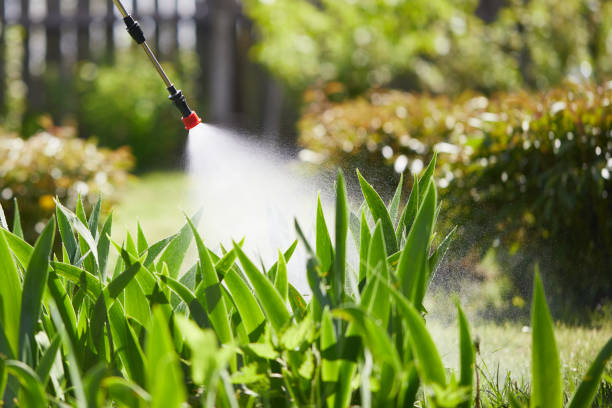 24/7 Emergency Mosquito Control experts in Bailey's Crossroads, VA