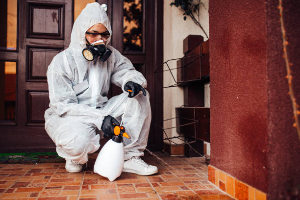 Reliable Mosquito Control contractor in Bailey's Crossroads, VA by Show Me Pest Control